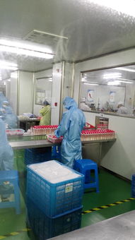 上海OEM护肤品加工厂 一站式信息咨询服务指南