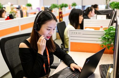 6类适合“老实人”的工作 在信息咨询服务领域，找到人际关系简单、工资高又能做长久的职业港湾